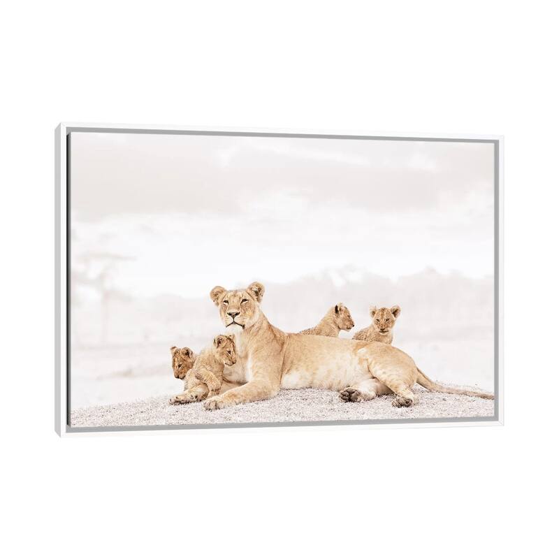 iCanvas "White Lioness & Cubs" by Klaus Tiedge Framed Canvas Print - White - 26x40