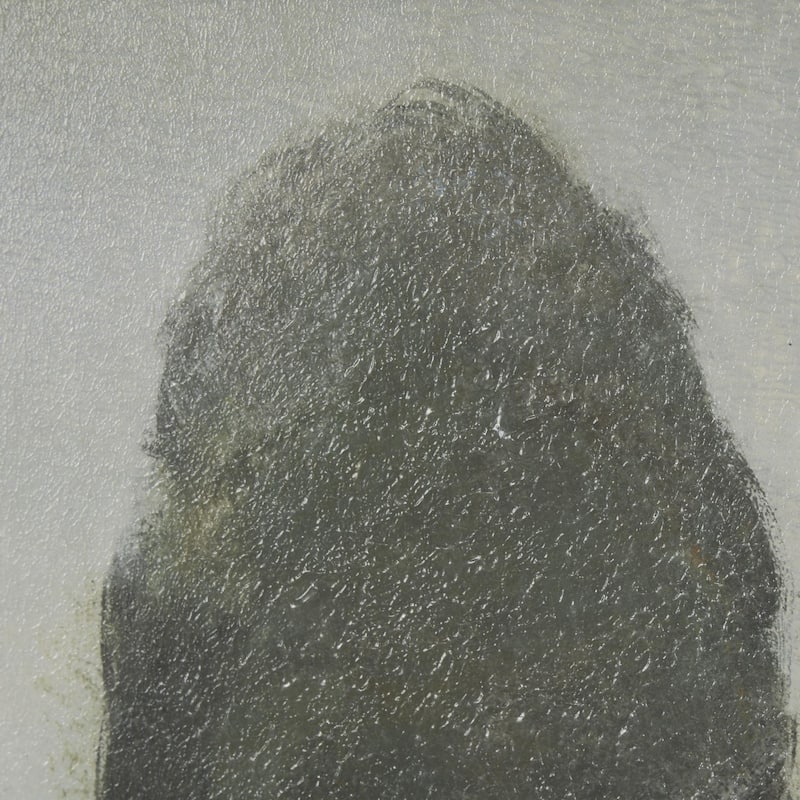 Secret Garden II by Mercana Studio a Hand Embellished Textured Framed Art Print Matted under Glass