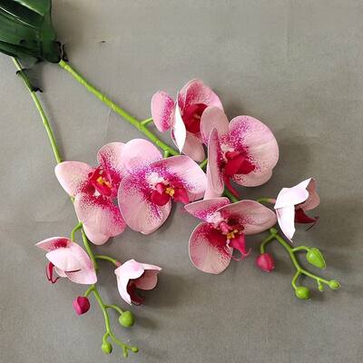 DCP Simulation film Artificial phalaenopsis flower ornament,pink