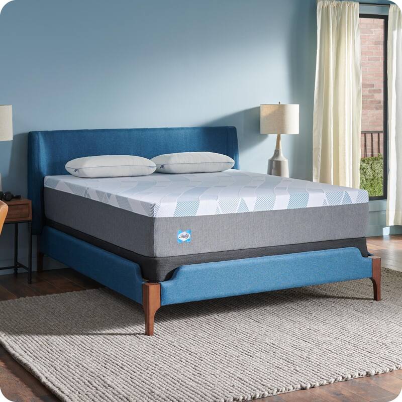 Sealy Dreamlife 12" Foam Mattress-in-a-Box
