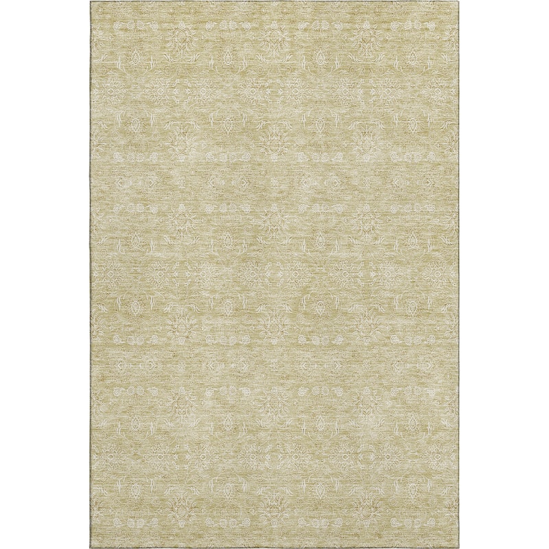 Premium Washable Super Soft Traditional Borderless Mayfield Rug