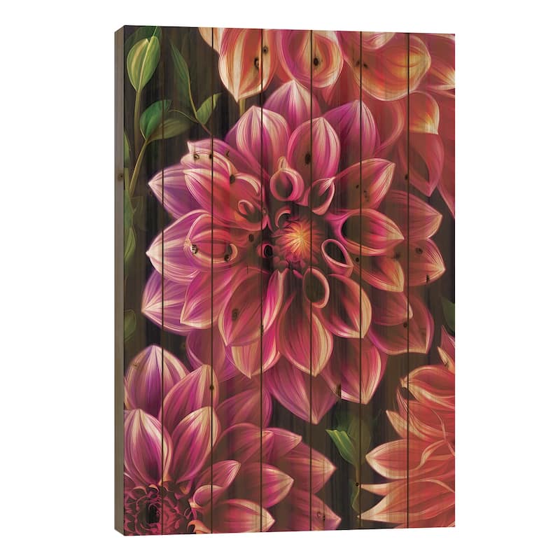 Dahlias In Pink And Orange Print On Wood by Jane Rix - Multi-Color - 26x18x1.5