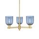 Option Brushed Brass / Blue