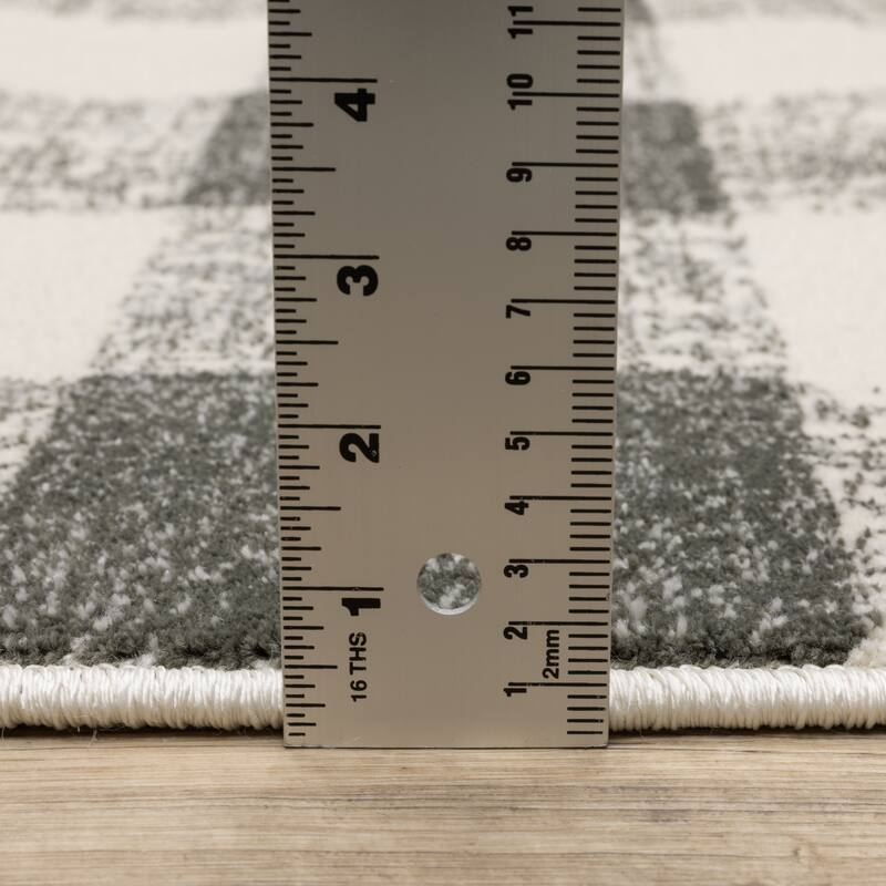Arwen Distressed Gingham Plaid Area Rug