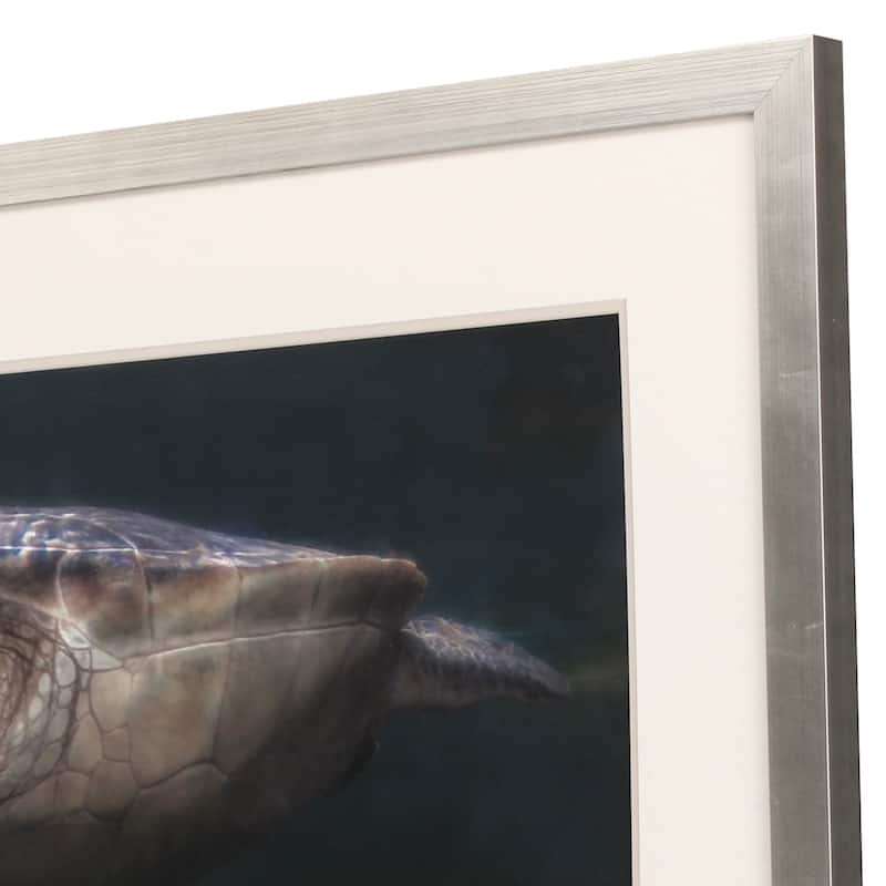 Sea Turtle Framed Art Giclee Under Glass Bed Bath & Beyond 39047599