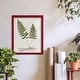 preview thumbnail 134 of 138, Nature Printed Ferns IX -Framed Print w/glass-Cherry Red