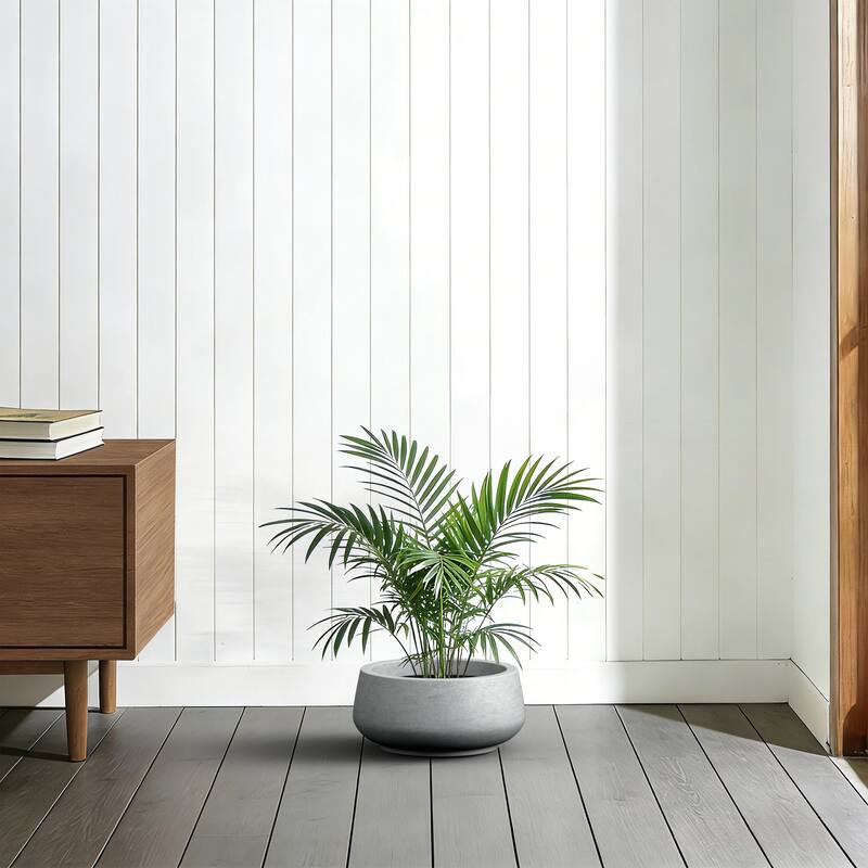 Upgraded Interior Concrete Curvy Round Planter