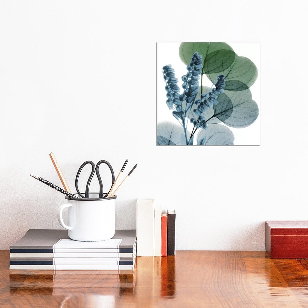 iCanvas "Lilly Of Eucalyptus I" by Albert Koetsier Canvas Print