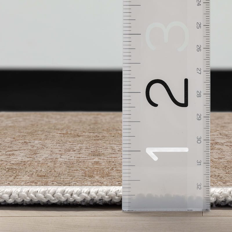 Well Woven Asha Odette Persian Oriental Vintage Area Rug