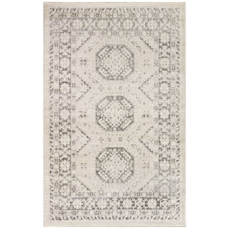 Fijoc Distressed Geometric Area Rug By HomeRoots - 4' x 6'