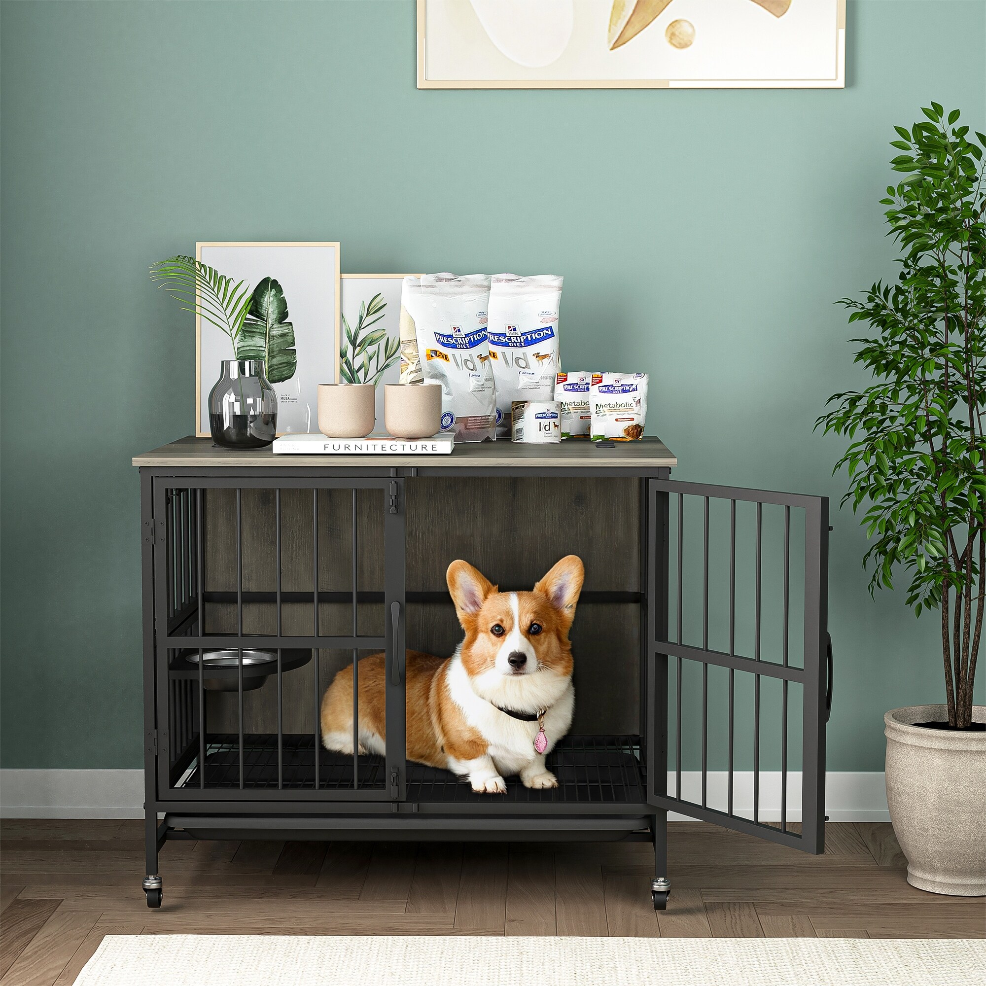 Modern kennel deals