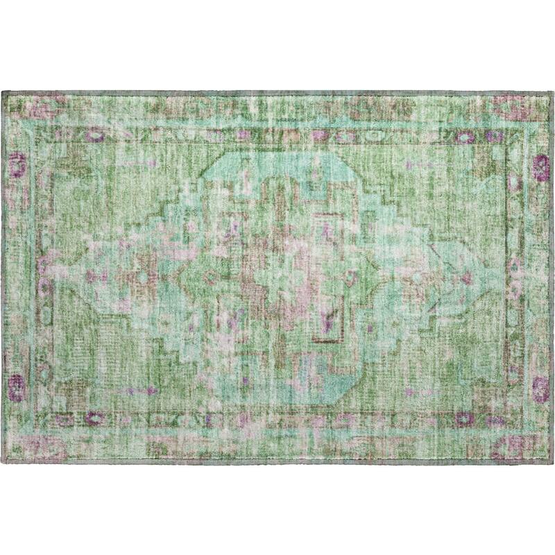 Premium Washable Super Soft Vintage Traditional Mayfield Rug
