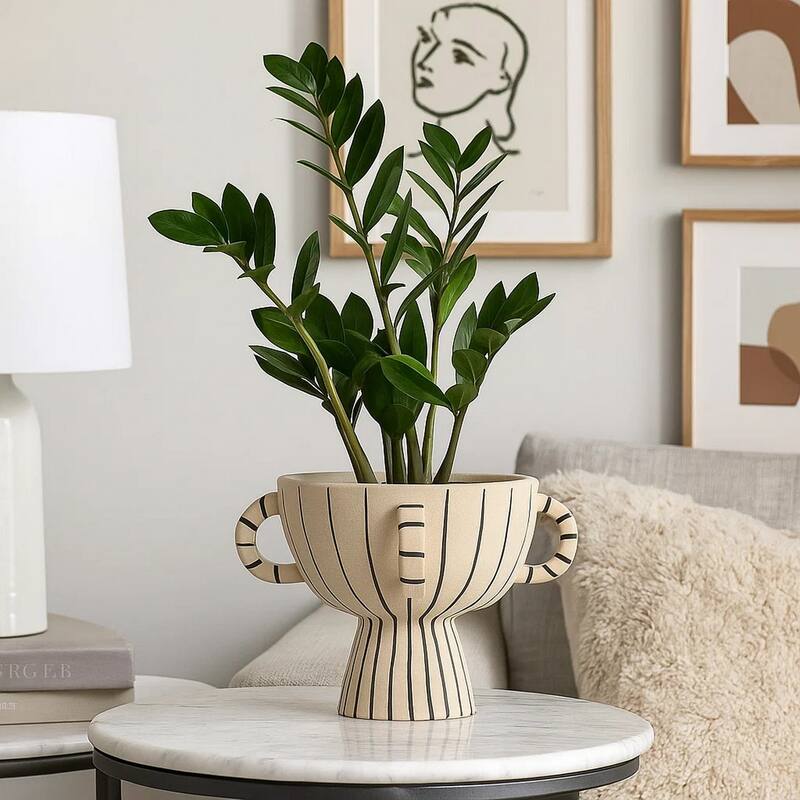 Javier Accent Planter with Loop Handles, Pedestal Black Beige Ceramic