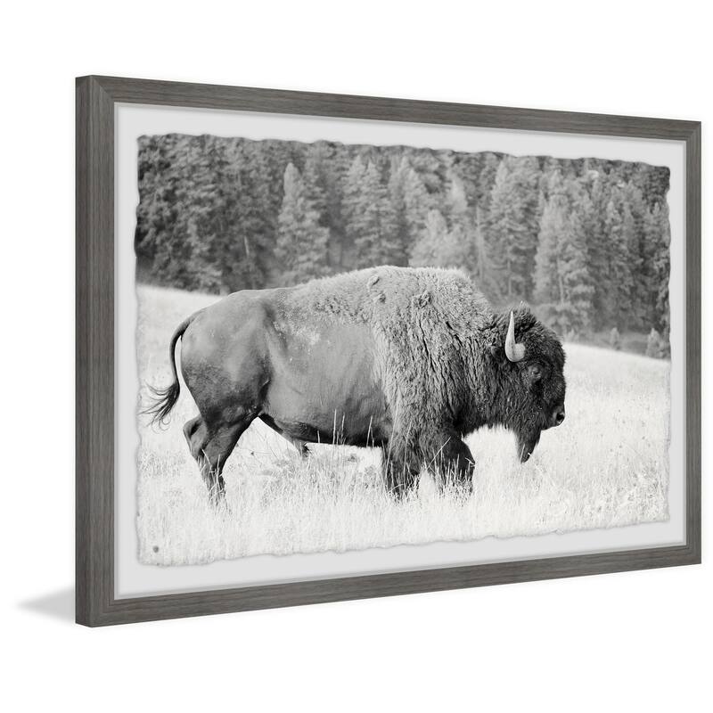 Contemporary Buffalo Grazing Wall Art Print - Framed Home Decor, Ready to Hang, 36x24 Inch