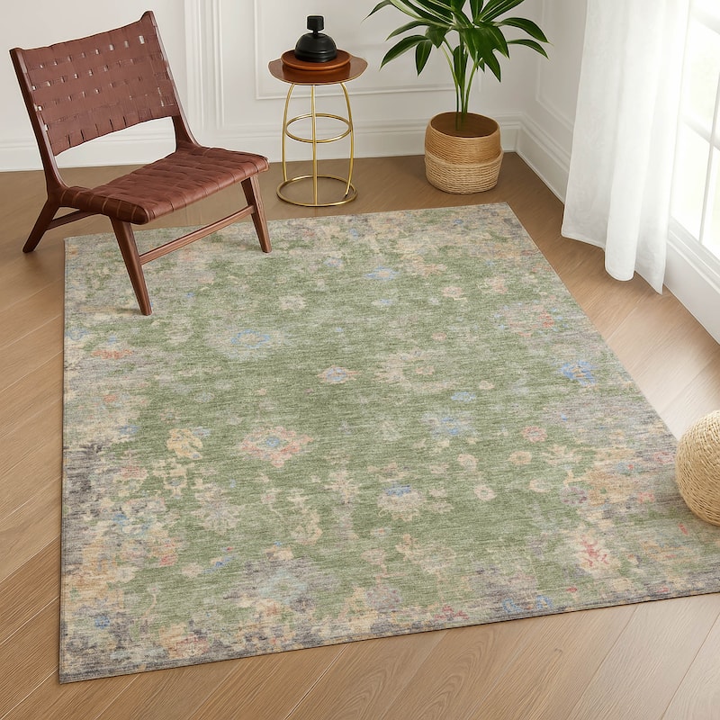 Machine Washable Indoor/ Outdoor Vintage Traditional Chantille Rug