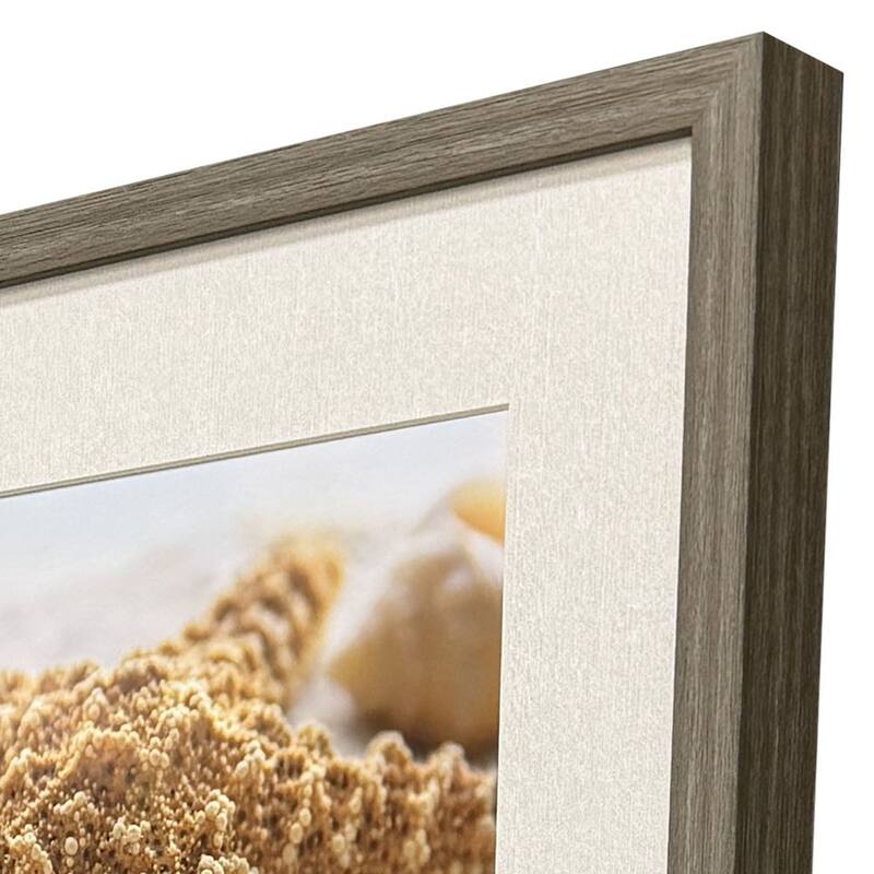 Paragon Beachy Shells Framed Art - Set of 4