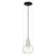 Option Clear / Black Antique Brass