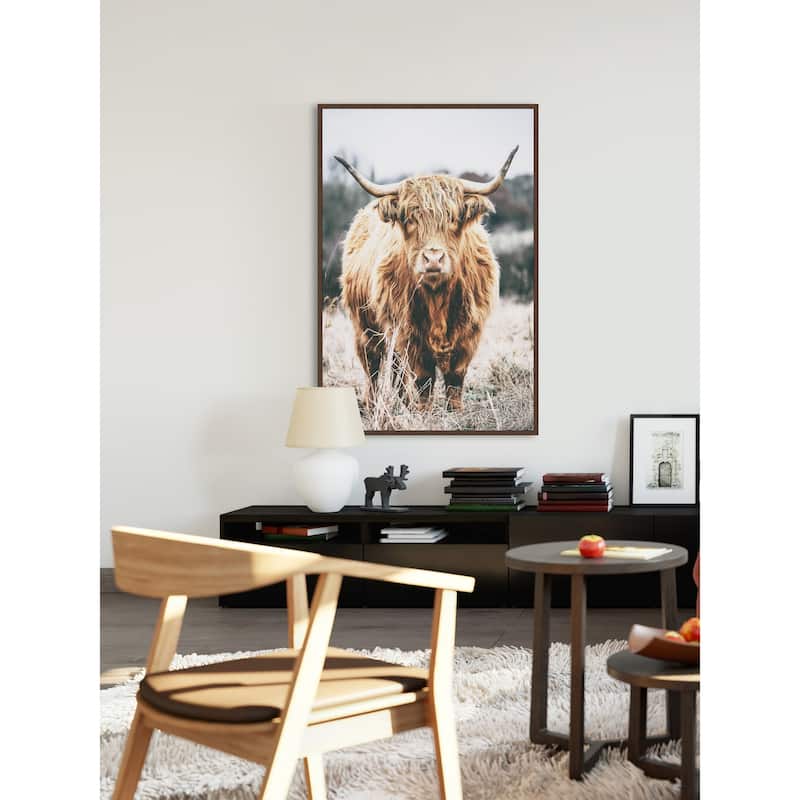 Scottish Highland Cattle Floater Framed Print on Canvas
