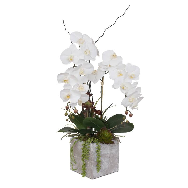 Real Touch White Orchid with Succulent Arrangement in Square Stone Pot - 15W x 12D x 21H