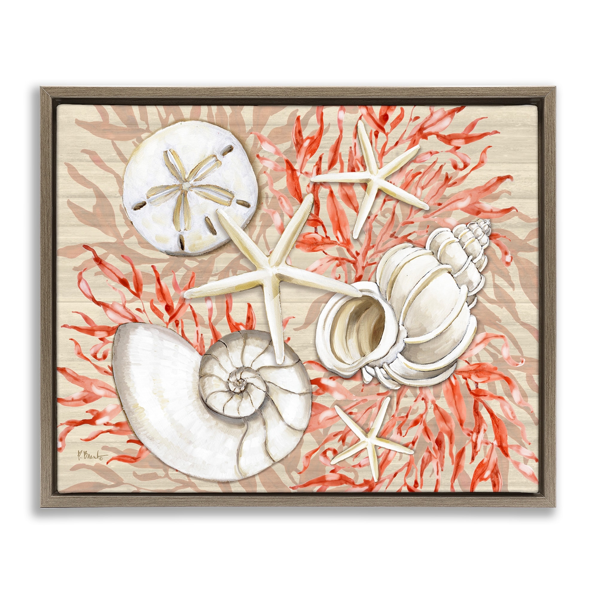 Stupell Coral White Shells Framed Floater Canvas Wall Art Design By Paul Brent