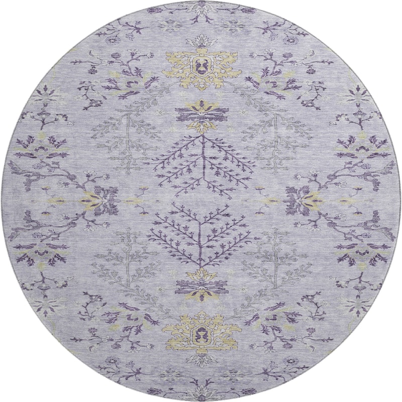 Premium Washable Super Soft Traditional Ozark Mayfield Rug