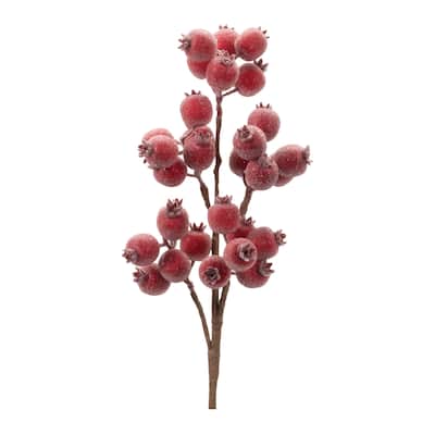 Beaded Berry Spray (Set of 6) - N/A