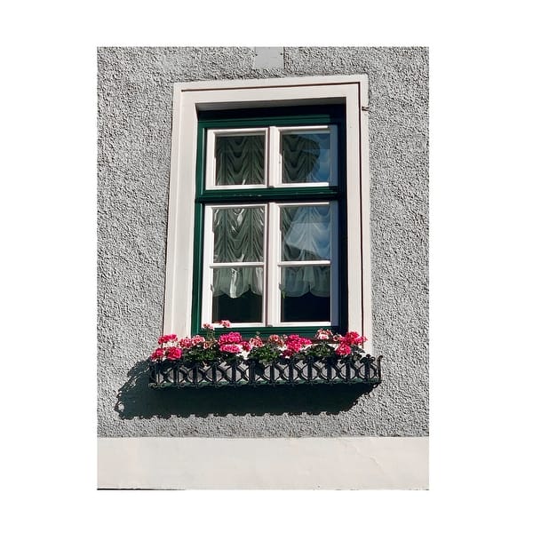 slide 2 of 5, Susan Vizvary Photography 'Green Window Flowerbox Black and White' Canvas Art