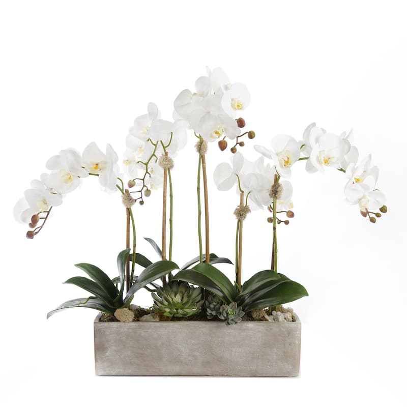 Modern Cream White Real Touch Silk Orchid Arrangement - 28"W x 17"D x 18.5"H