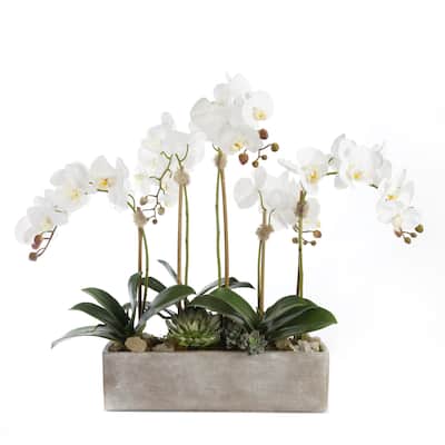 Modern Cream White Real Touch Silk Orchid Arrangement - 28"W x 17"D x 18.5"H