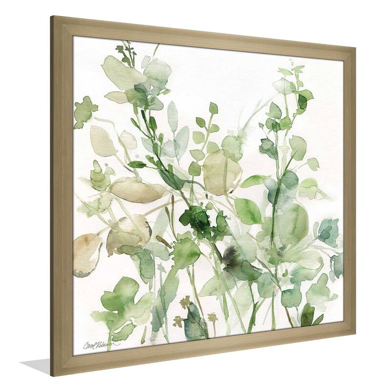 "Sage Garden II" by Carol Robinson Print on Acrylic