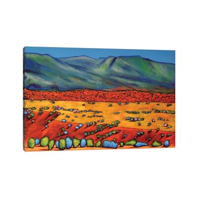 iCanvas "Deep Shadows" by Johnathan Harris Canvas Print