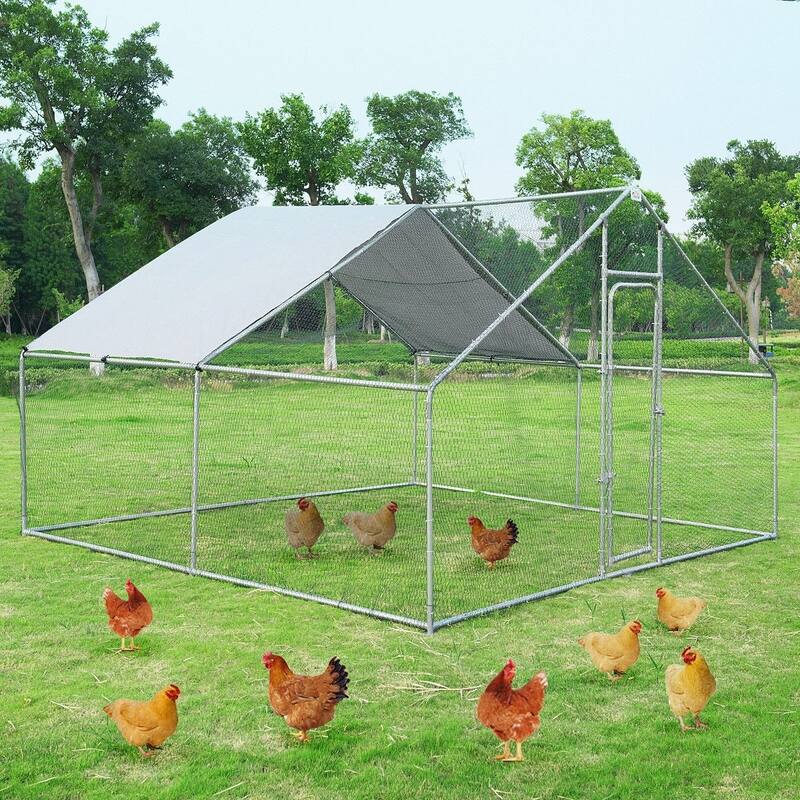 Large Animal Kennel with Roof Cover