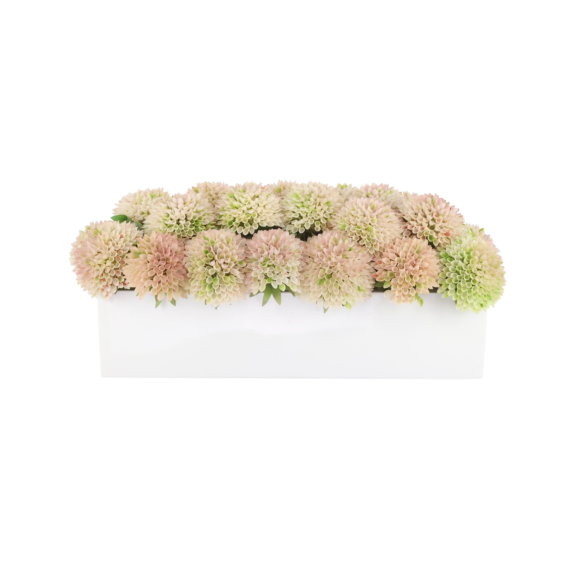 Dahlias in Fiberstone Planter - 7