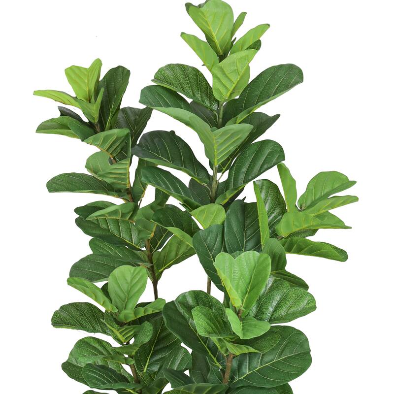 6ft Real Touch Artificial Fiddle Leaf Fig Tree in Black Pot - 72" H x 25" W x 25" DP