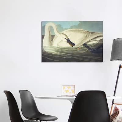 iCanvas "Trumpeter Swan II" by John James Audubon Canvas Print