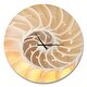 preview thumbnail 2 of 8, Designart 'Golden Nautilus Shell Pattern' Oversized Coastal Wall CLock