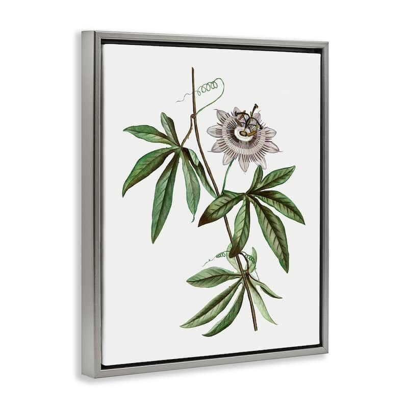 Stupell Vintage Circular Bloom Framed Floater Canvas Wall Art Design By CAD Designs