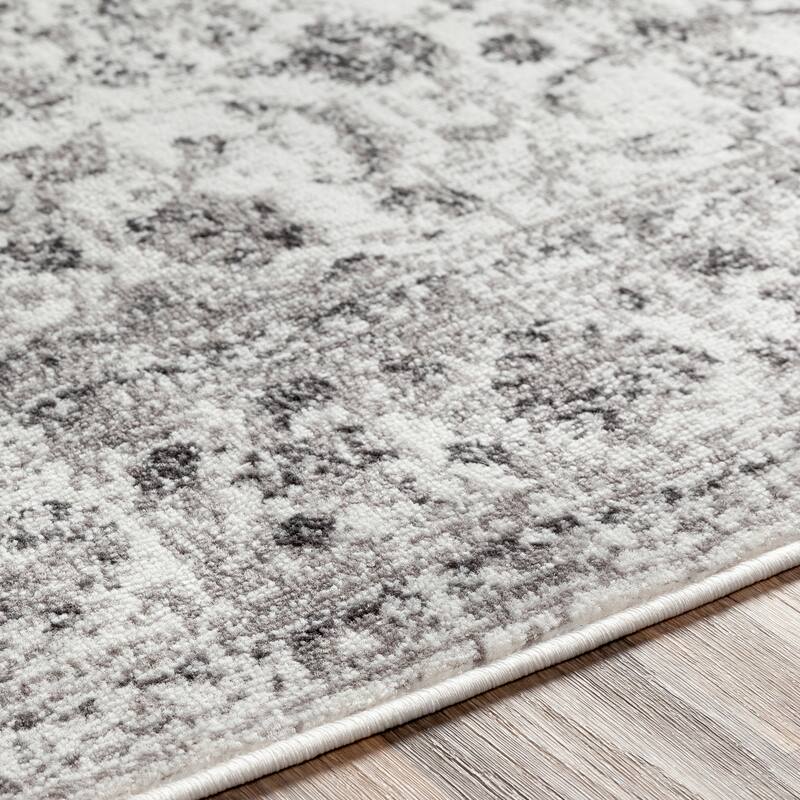 Livabliss Antonie Distressed Updated Traditional Area Rug