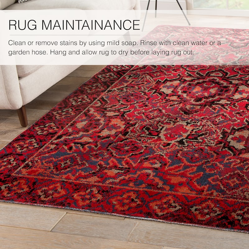The Curated Nomad Brant Indoor/ Outdoor Medallion Red Area Rug