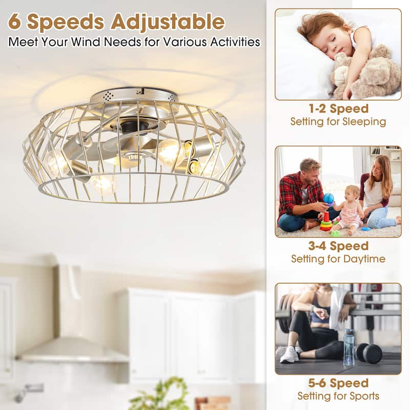 19.7" Vintage Silver Metal 6-Speed Caged Ceiling Fan with Light Kit, Remote and App