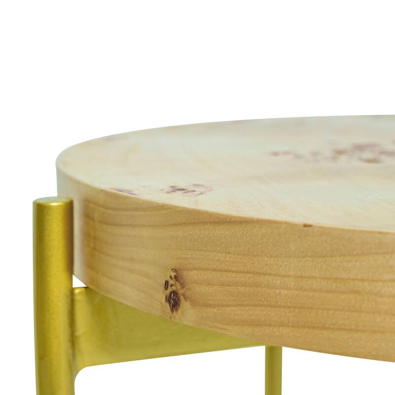 Eliana Round Burl Wood & Metal Side Table by Sevita - 20″ L x 20″ W x 22″ H