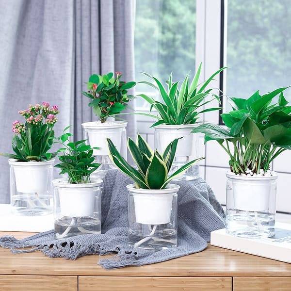 Clear Automatic Water Absorption Self Watering Hydroponic Flower Pot Planter  - Bed Bath & Beyond - 36183633