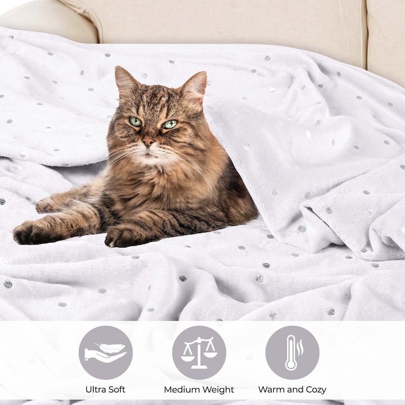Superior Fleece Plush Medium Weight Soft Fluffy Decorative Blanket