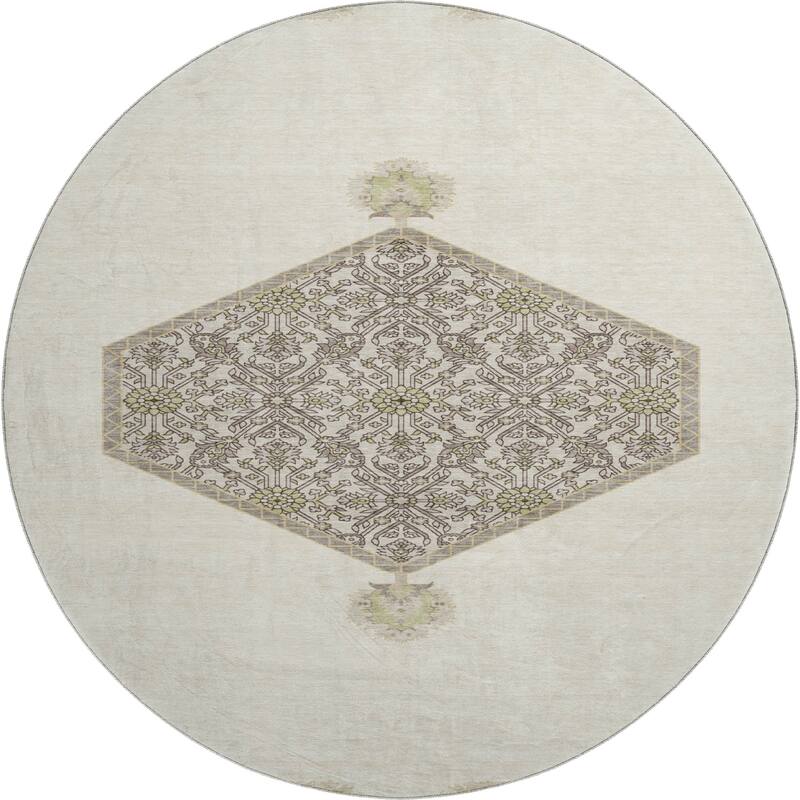 Premium Washable Super Soft Traditional Global Mayfield Rug