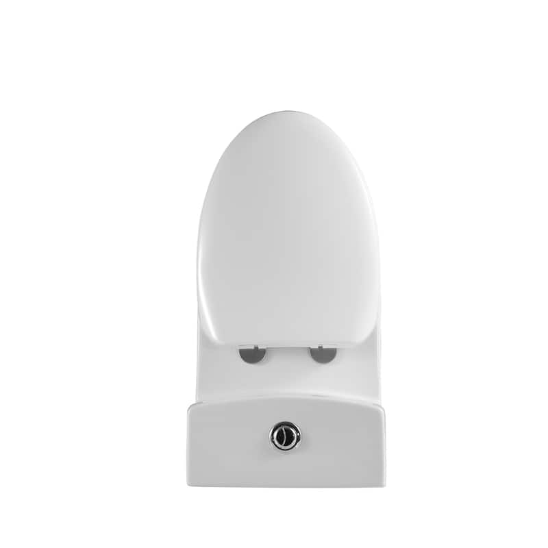 Casa Max 1-Piece 1.2/1.6 GPF Dual Flush Elongated Toilet in White Seat Included