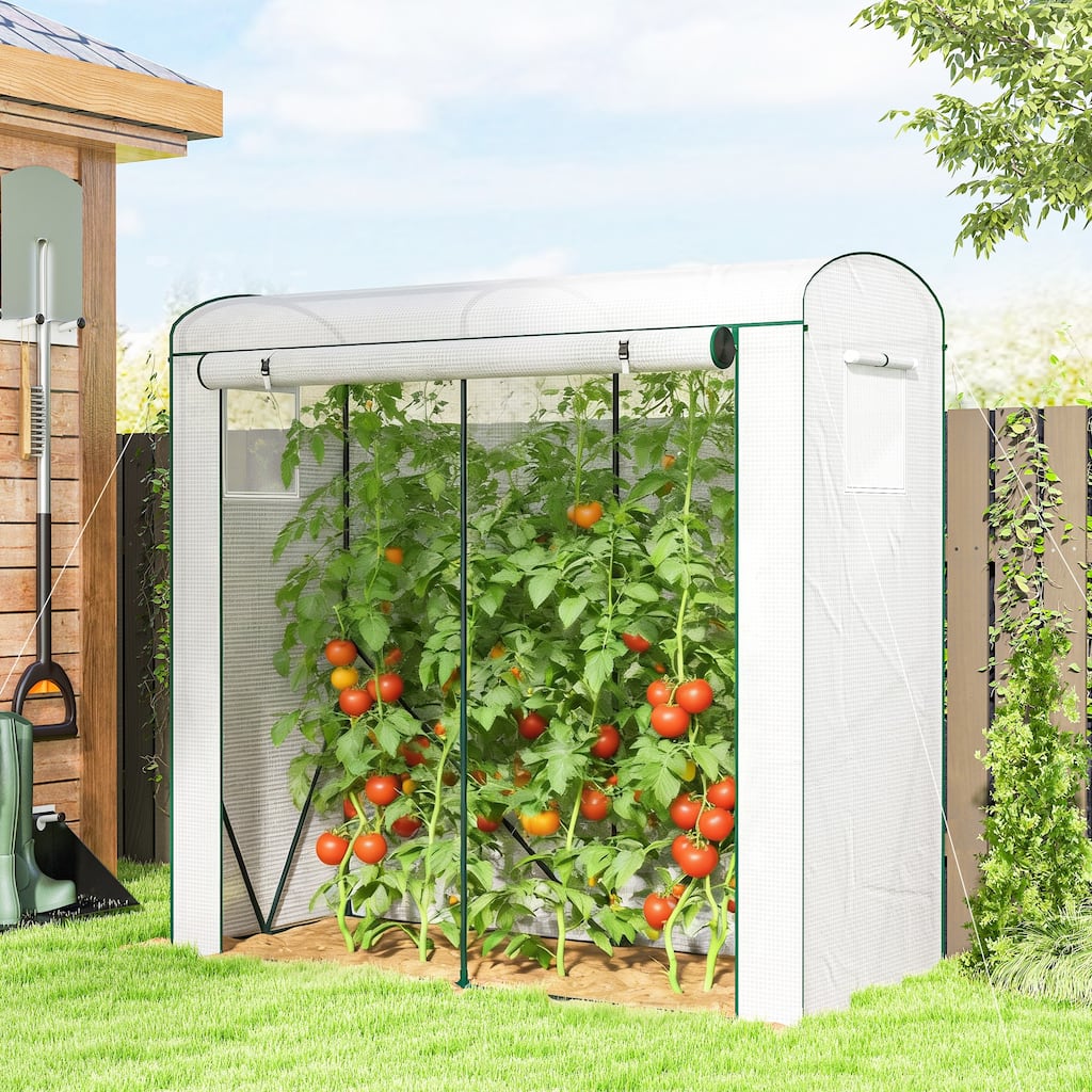 Outsunny Mini Greenhouse, Portable Greenhouse with Roll-Up Door and 2 Mesh Windows, Small Green House