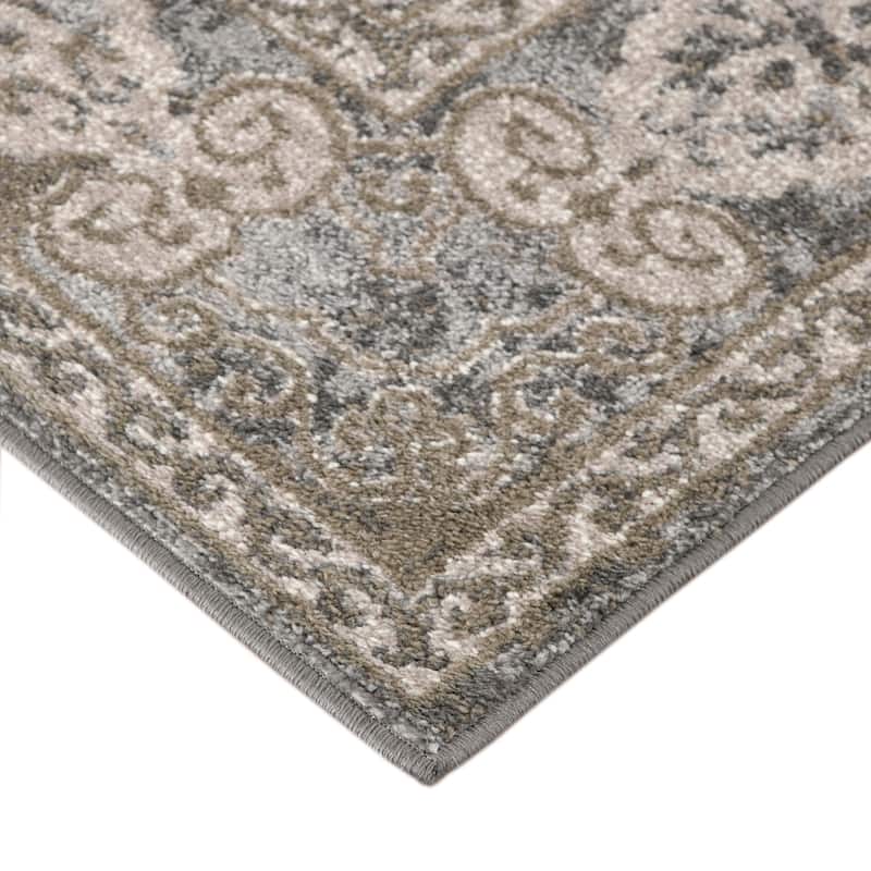 Aurelia Modern Farmhouse Medallion Area Rug
