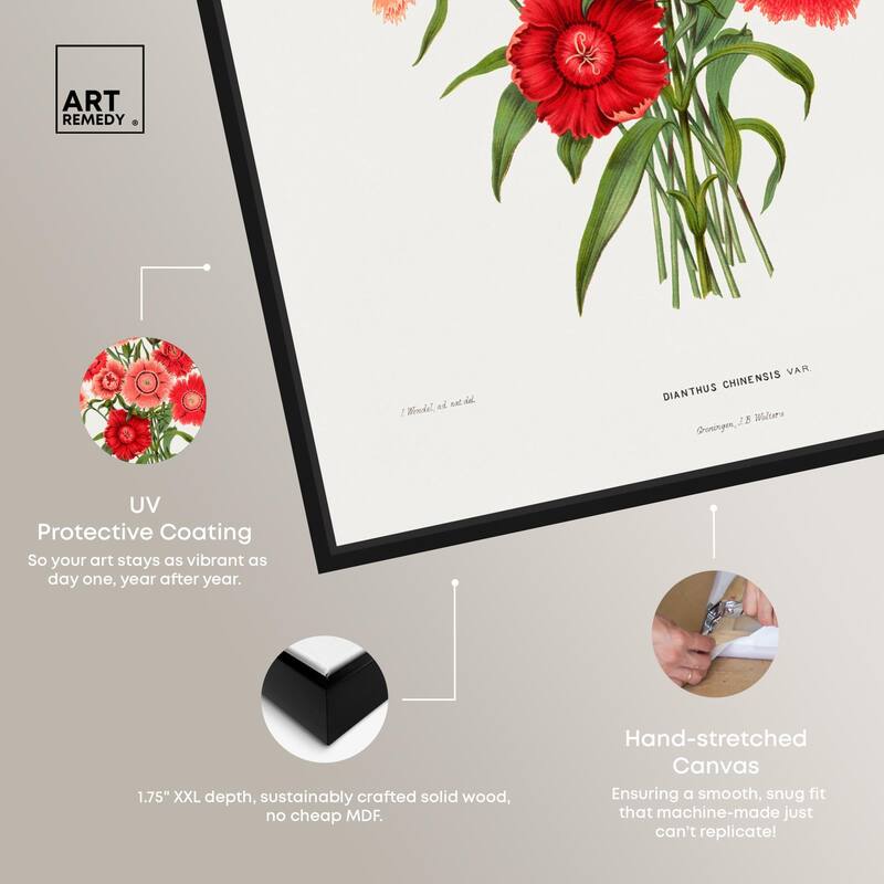 Rainbow Pink Flower by Wendel Canvas by Art Remedy