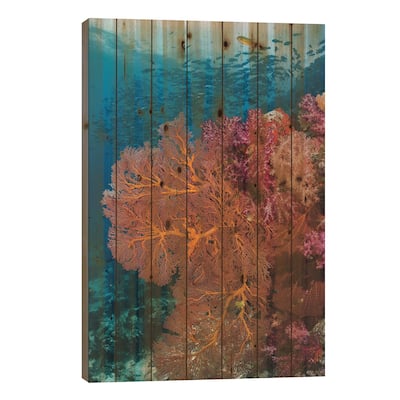 Fiji. Fish and coral reef. Print On Wood by Jaynes Gallery - Multi-Color