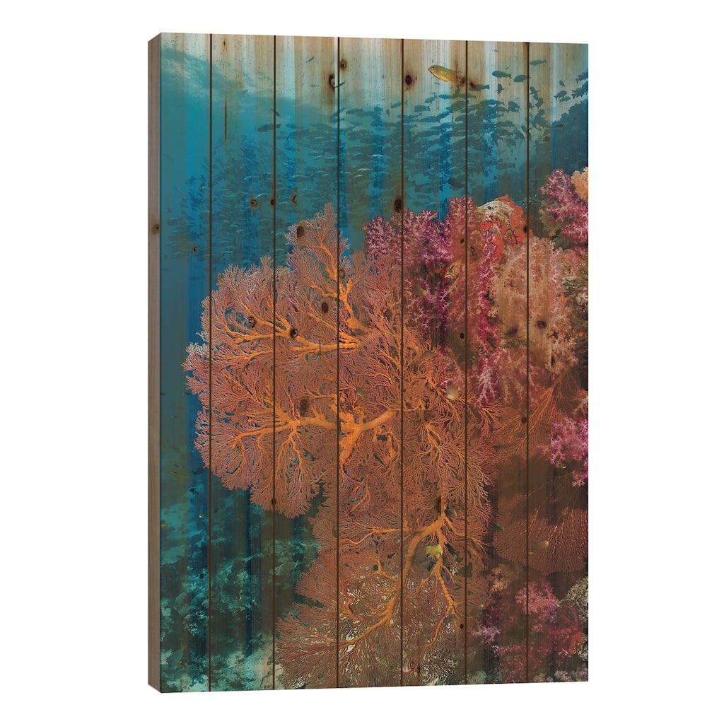 Fiji. Fish and coral reef. Print On Wood by Jaynes Gallery - Multi-Color